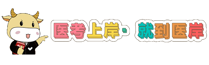 医考上岸，就到医岸.gif